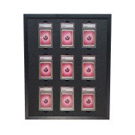 PSA Display Frame 3 wide 3 tall PSA Display Frame 3 wide 3 tall