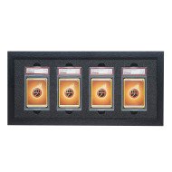 PSA Display Frame 4 wide 1 tall