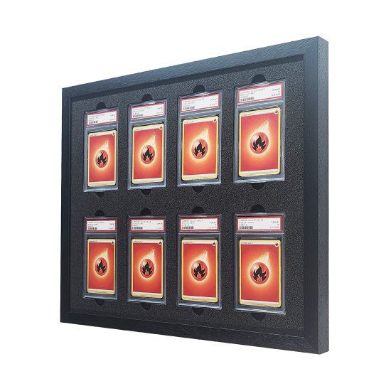 PSA Display Frame 4 wide 2 tall PSA Display Frame 4 wide 2 tall