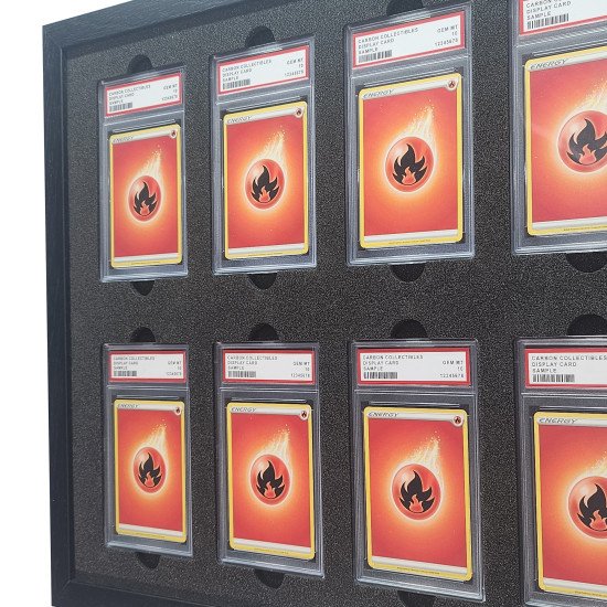 PSA Display Frame 4 wide 2 tall PSA Display Frame 4 wide 2 tall