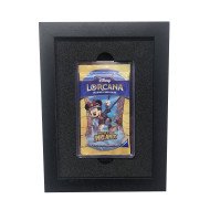 Toploader Display Frame 1 wide 1 tall Toploader Display Frame 1 wide 1 tall