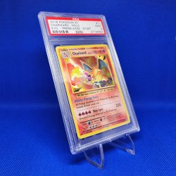 PSA Graded Card Stands (Singles) PSA Graded Card Stands (Singles)